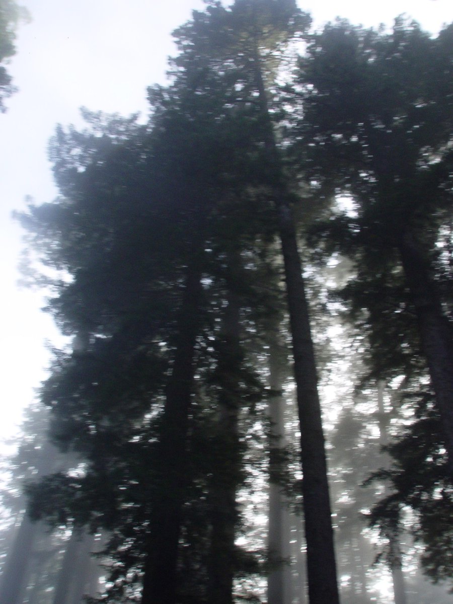 EricaRexes's tweet image. Wish I were following Thorin's Company through Middle Earth, for now my own travels in U.S.A. must suffice. Re-reading The Hobbit to visit my favorite characters, amazed to realize I first discovered these "friends" when just 7 years old, and that they've remained all my life. &amp;lt;3