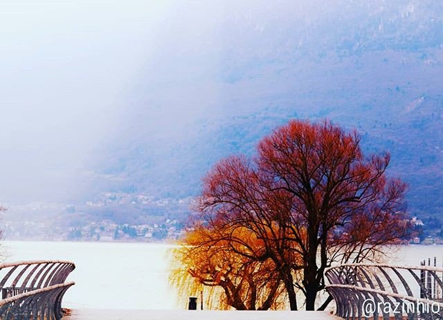 Reposting @razinhio:
happy week-end 📷📷📷#savoiemylove #travel #sun #clouds #follow4follow #love #my #aixrivieradesalpes #photographer #tree #photography #photo #picoftheday #photooftheday #instagram #top #instagood #instalike #like #cool #nature #like4like #mountains  #good