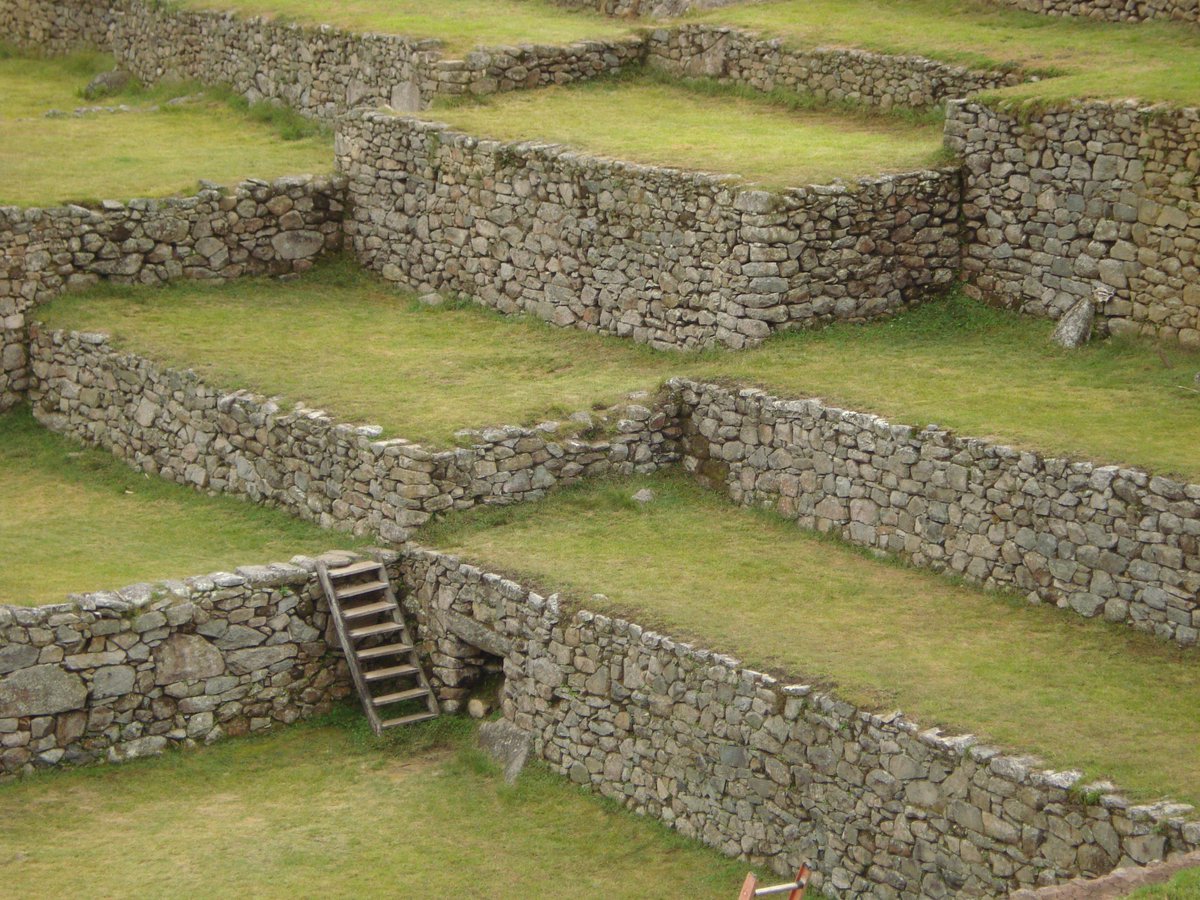 carlo_torres's tweet image. #Cusco no solo es #MachuPicchu 
Tiene #Tipon #Salinas #MarasMoray 
#Recuerdos