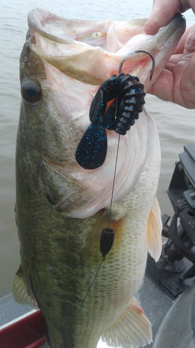 jthobbs210's tweet photo. The big mamas are showin up. @gamblerlures #uglyotter #bassfishing #qualitytungsten https://t.co/QSxfz3aI3L