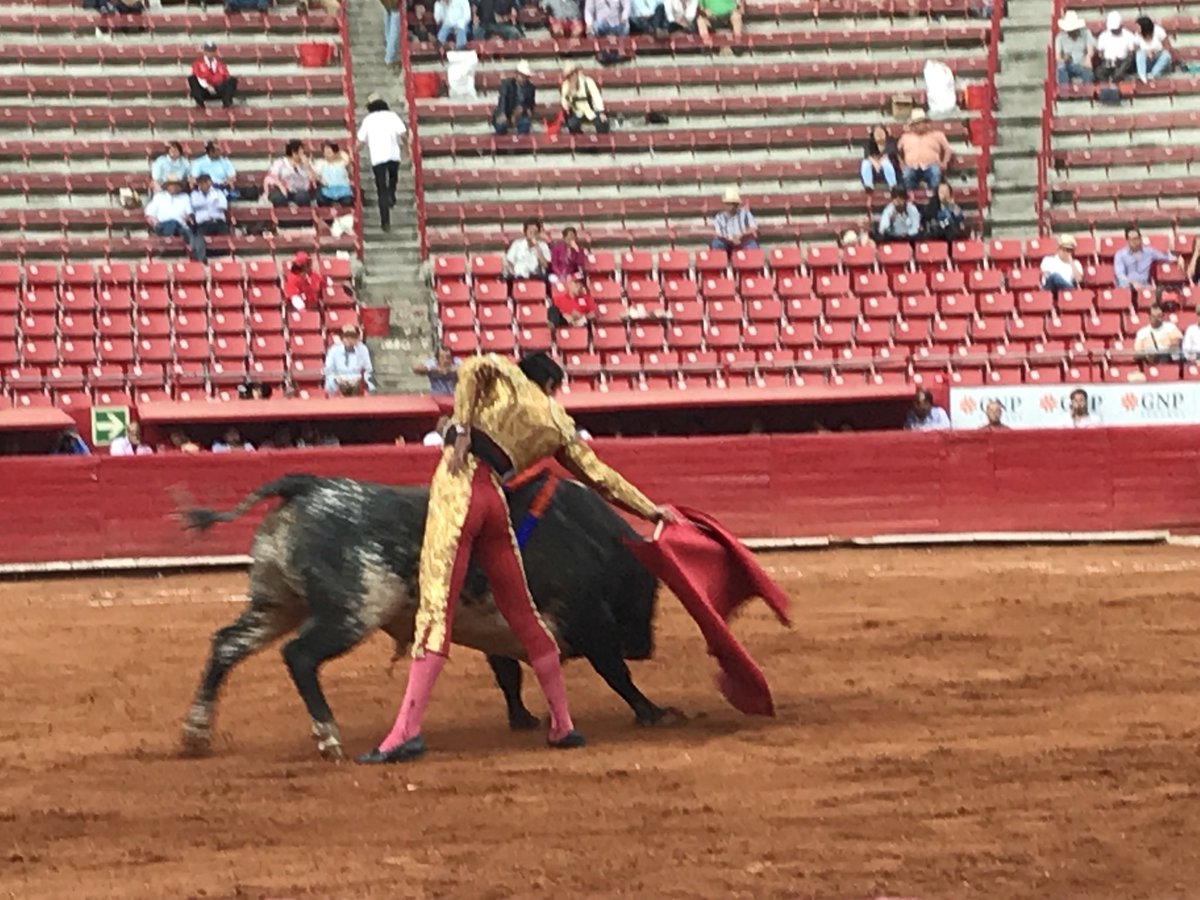 Hoy en <a href="/LaPlazaMexico/">La Plaza Mexico</a> 4o novillo de <a href="/GSanConstantino/">San Constantino</a> Jode María Hermosillo. Silencio.