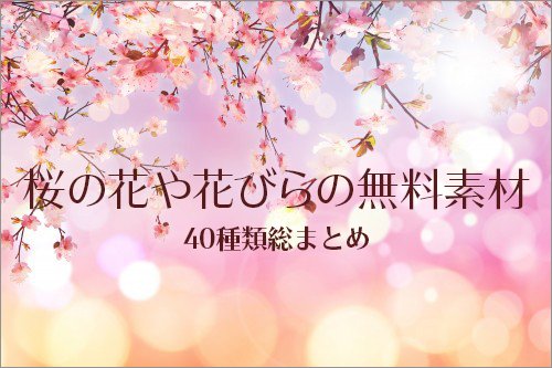 ユニーク桜 花びら フリー 花の画像