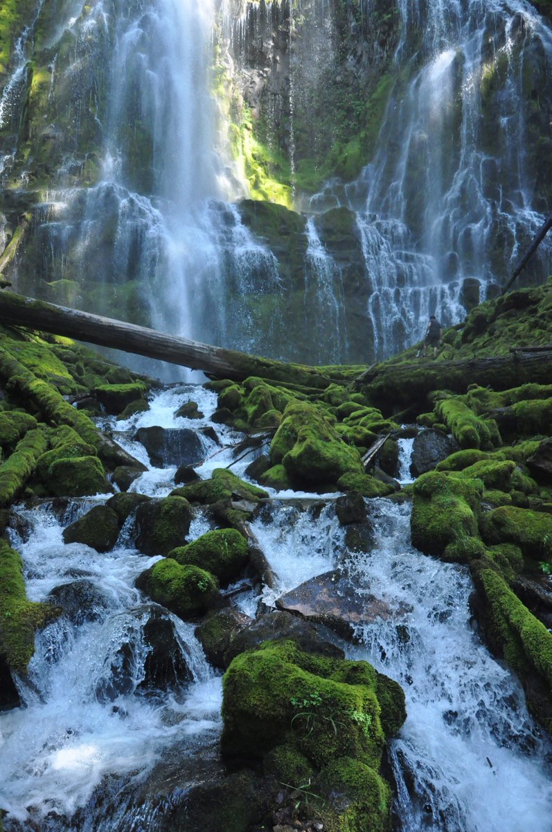 EricaRexes's tweet image. Wish I were following Thorin's Company through Middle Earth, for now my own travels in U.S.A. must suffice. Re-reading The Hobbit to visit my favorite characters, amazed to realize I first discovered these "friends" when just 7 years old, and that they've remained all my life. &amp;lt;3