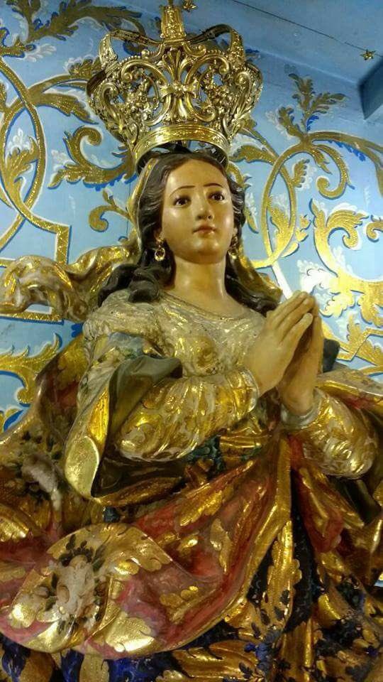 Sabina Ule Andrade tweet media