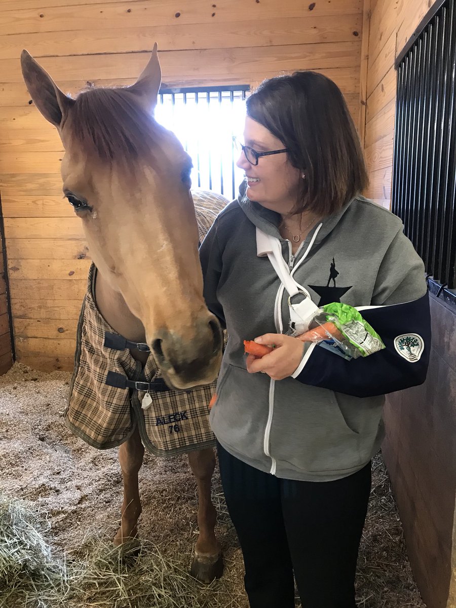 smartkaleck's tweet photo. Day. Made. #ilovemypony #angloarab #hunterjumper https://t.co/o7W8abOmkj