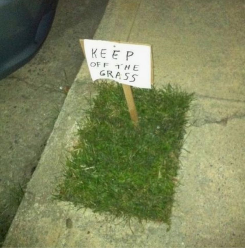 EhlingerLawn's tweet photo. The first step to a beautiful yard is taking pride in ownership... We all have to start somewhere! https://t.co/KETzfbsiTr