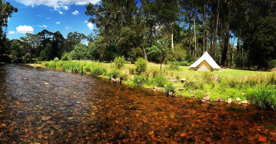 KingValleyEsc's tweet photo. Looking for #lastminute #accommodation for this #Easter weekend? 🛏️🏡🏕️⛺️Check out a great range in &amp; around #Moyhu like #KingValley #Glamping! #VisitKingValley #Accommodation #Camping #VisitWangaratta #SeeHighCountry #WanderVictoria #SeeAustralia https://t.co/3KoA9LuBc6 https://t.co/Vl5hi3UHGr
