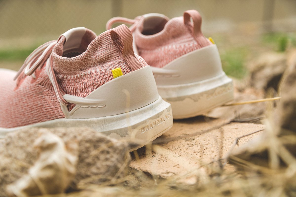 Brandblack tweet media