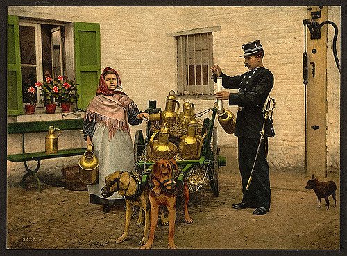 MuseumArtworks's tweet photo. " A Brussels Milk Maid"  - A photochrome from the 1890 #HistoryInPictures https://t.co/Uftqo4AQN2