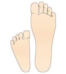 ChildrensPod's tweet image. #footwearmonth Ethinicity and foot shape. It is a thing and this is why it's so important to understand where  shoes are made and why there are so many types. Have a read on the difference between countries: buff.ly/2G1AXcY