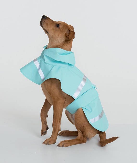 CastleHillsEmb's tweet photo. Spring is made for the outdoors and furry friends! 🌦🐶 
Outdoor wear available on Etsy! (Link in bio)
#sanantonio #texas #embroidery #monogram #rainyday #raincoats #dogsofinstagram #spring #customized #personalized #dograincoat #shoplocal #shopsmall https://t.co/W89dkvIduI