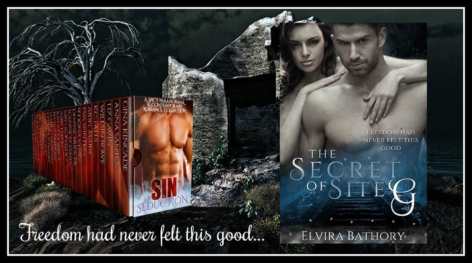 ElviraBathory's tweet photo. #Paranormal & #Contemporary Romances that will make your heart race. Have you gotten your copy? https://t.co/K9cCPYFYxU #sincollection https://t.co/noBlrDy0iR
