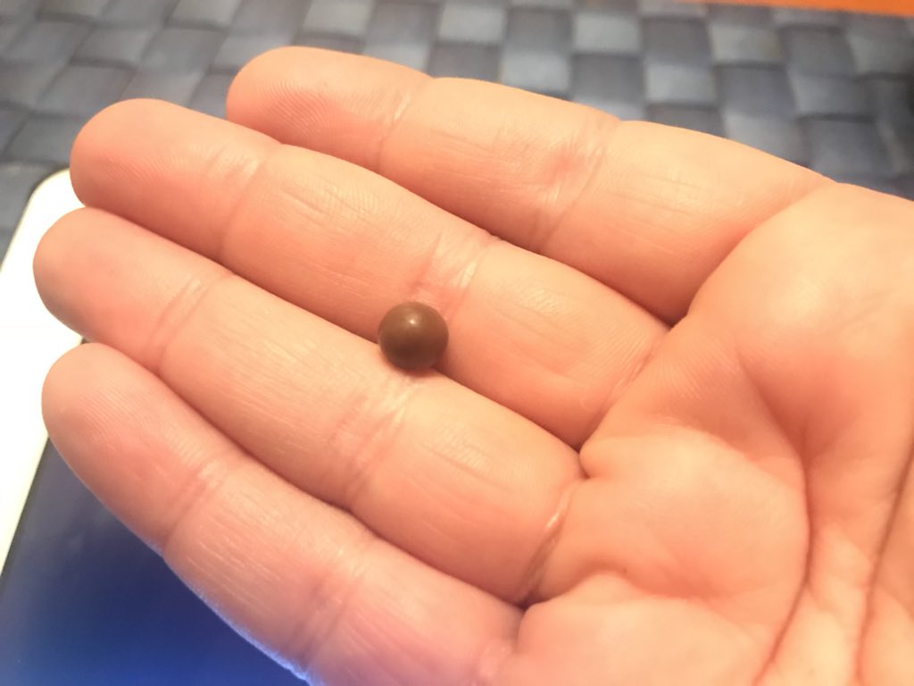 TheNightFlower's tweet photo. Can we all please stop and marvel at the teeny-weeniness of this itty-bitty #menz #FruChoc https://t.co/8F7Y9Mfhjv