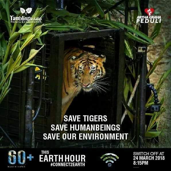 TriYuyu's tweet photo. Selamatkan harimau!
#agpearthhour
#agpeduli
#changeclimatechange
#connect2earth https://t.co/xaEDIDl7VQ
