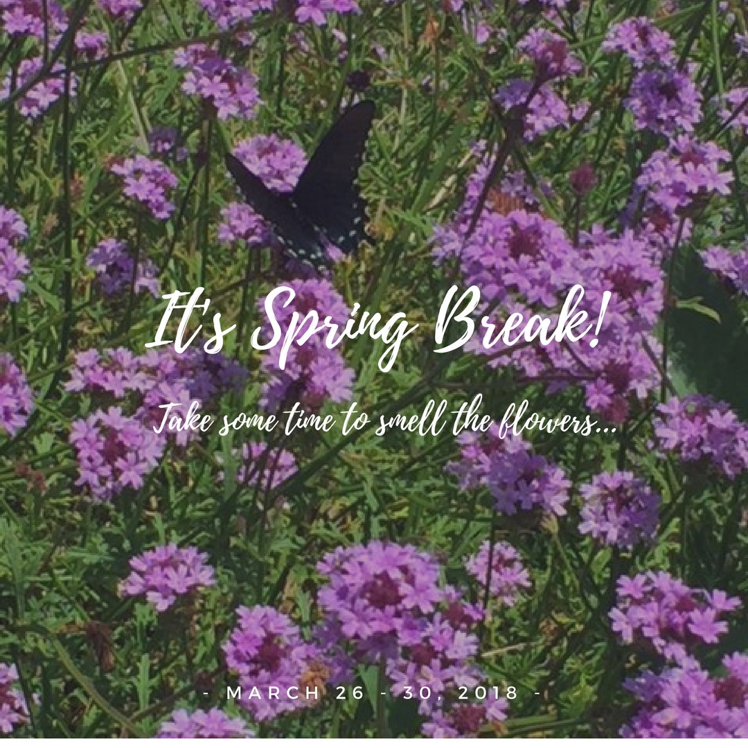 fresnostategssc's tweet photo. Happy Spring Break everyone!!  @Fresno_State #GradWriting Consultants are out of the studio this week, but everyone will be back again next week! 
If you need a quiet place to study - the #GradStudyCenter is open! https://t.co/15rmsCRgxK