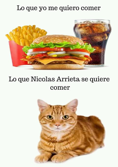 AndyZombiOC's tweet photo. #NuestroDiosEsNicolasArrieta @nikoarrieta XDD ESO SÍ QUÉ ES ES DE GANGSTERS https://t.co/hmIea4qzEJ