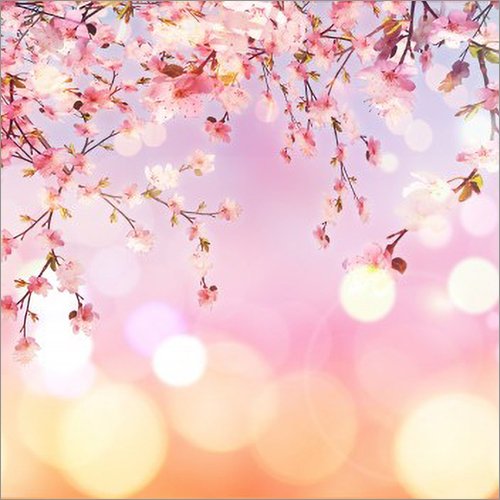 コリス Twitter पर 全部 商用利用無料 桜のイラスト 桜の花びらのイラストが描かれたフリー素材のまとめ T Co Aox49camni T Co Qhtgekyypv Twitter