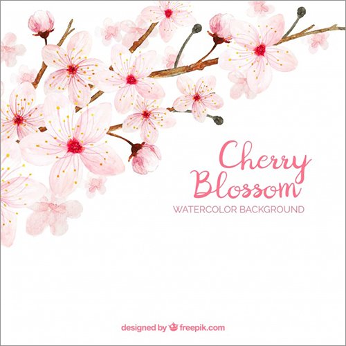 Twitter पर コリス 全部 商用利用無料 桜のイラスト 桜の花びらのイラストが描かれたフリー素材のまとめ T Co Aox49camni