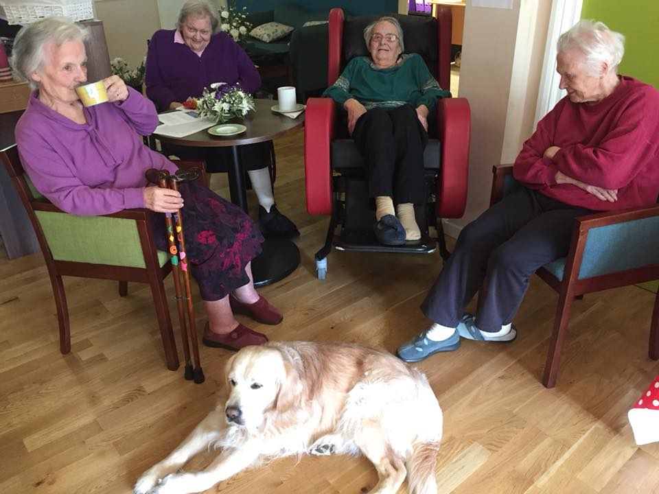 CasterbridgeDT2's tweet photo. We had a wonderful morning at our #WRAD coffee morning on Friday in support of #ThePurpleAngels raising awareness of #Dementia @NormanMcNamara https://t.co/kx34mkrFmU