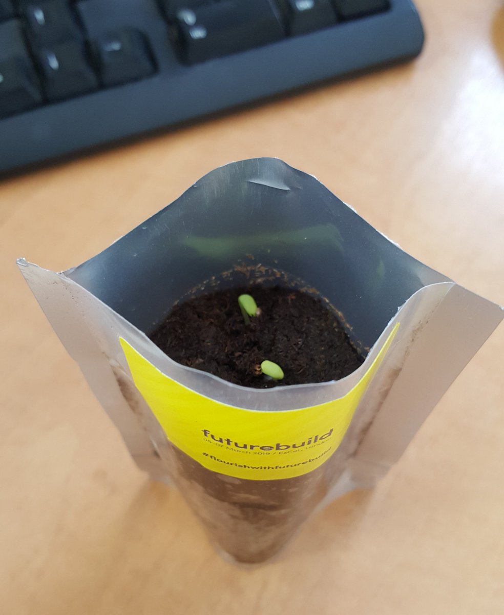 WindhagerUK's tweet photo. We only planted them a few days ago and already they are growing!  #flourishwithfuturebuild #ecobuild2018 https://t.co/WJy3iPRiEi