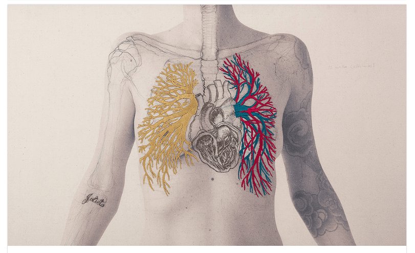 Bycousinas's tweet photo. Los bordados de Juana Gómez son una auténtica lección de anatomía... ¡descúbrelos! #bordado #artetextil #art #love #beautiful #FelizLunes 
https://t.co/JEpH7igZK7 https://t.co/84LkGfXpIi