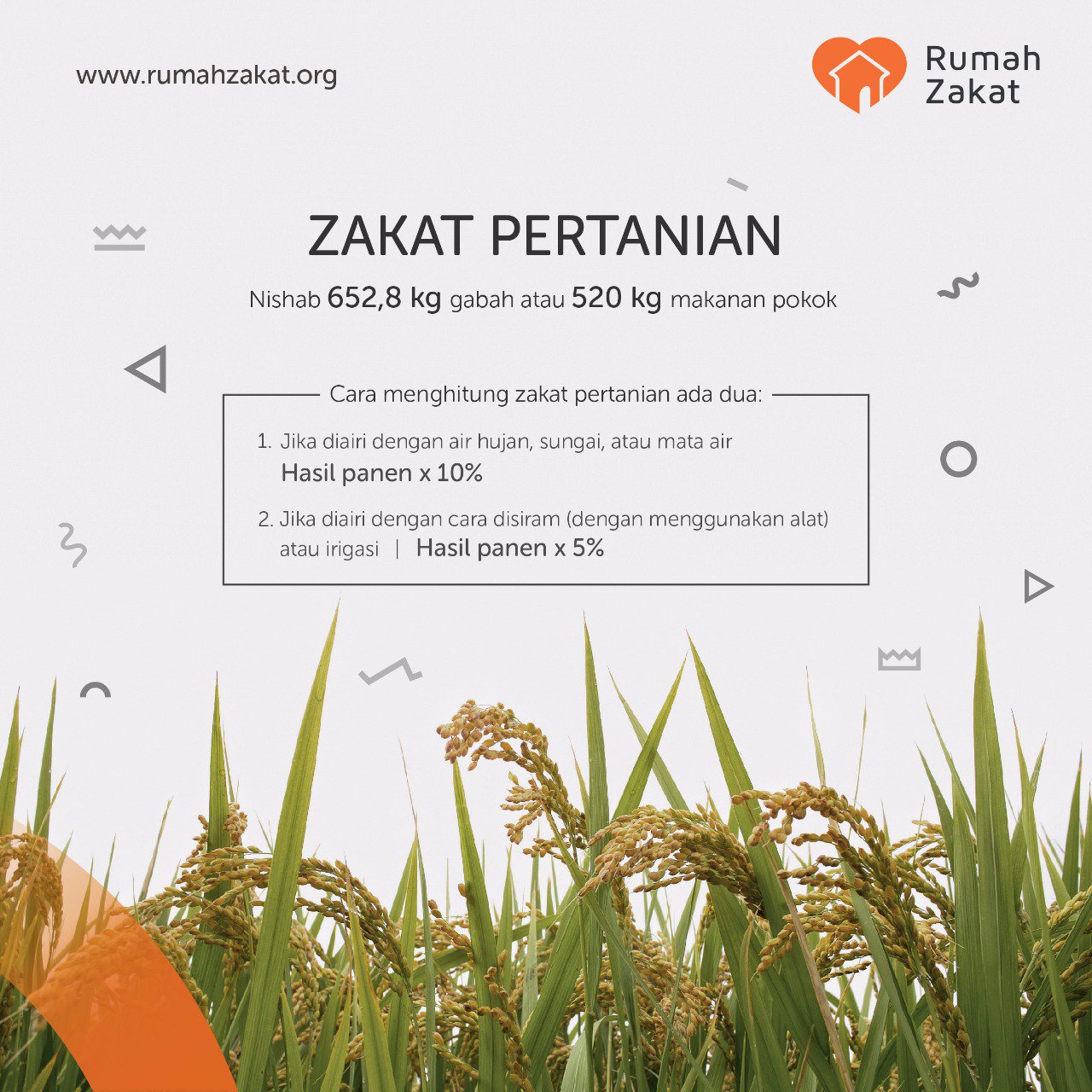 Rumah Zakat On Twitter Zakatpertanian 5 10 Nishab Zakat Pertanian Sebesar 652 8 Kg Gabah Atau 520 Kg Untuk Hasil Panen Berupa Makanan Pokok Https T Co 9yfnna1nnv