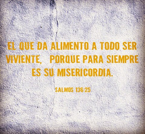 ItsPossible7's tweet photo. #Alabanza por la #misericordia #eterna de #Dios

#Cree #CristoViene 💚

Twitter | @itspossible7 |
Instagram | @itspossible_7 | https://t.co/SG6lY4fF82