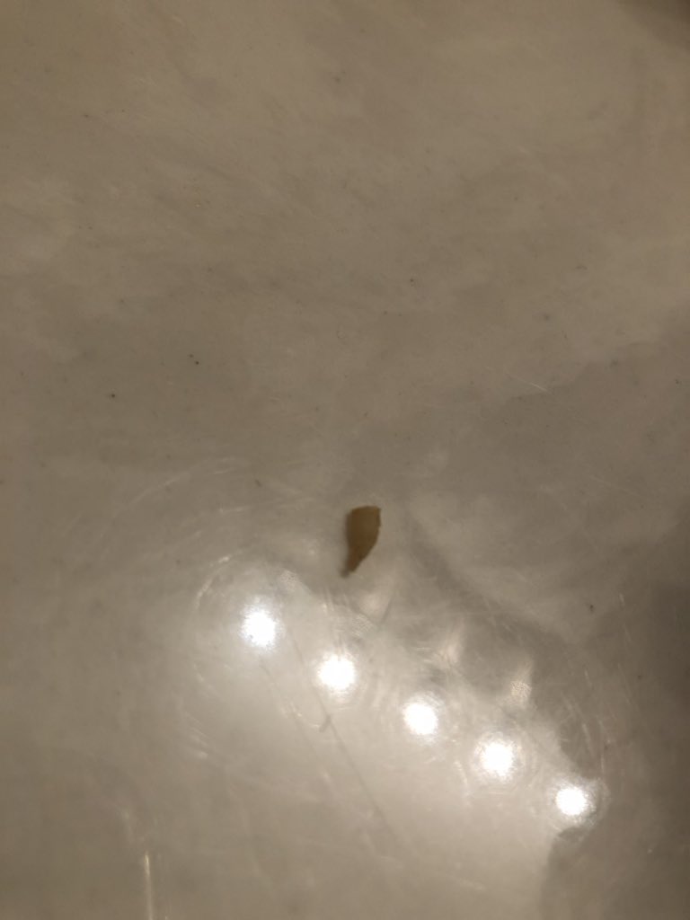 NickAndersen33's tweet photo. My girl friends Taco Bell beef burrito had a spongy textured Chick Talon in the middle of it.. 🤮🤮 RT to spread awareness ‼️‼️‼️Taco bell deserves to go out of business for this😡😡 https://t.co/g4lw6MnHzb