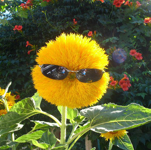 mohamedmagdy916's tweet image. #Forging_History 
#class17 
صباح الورد