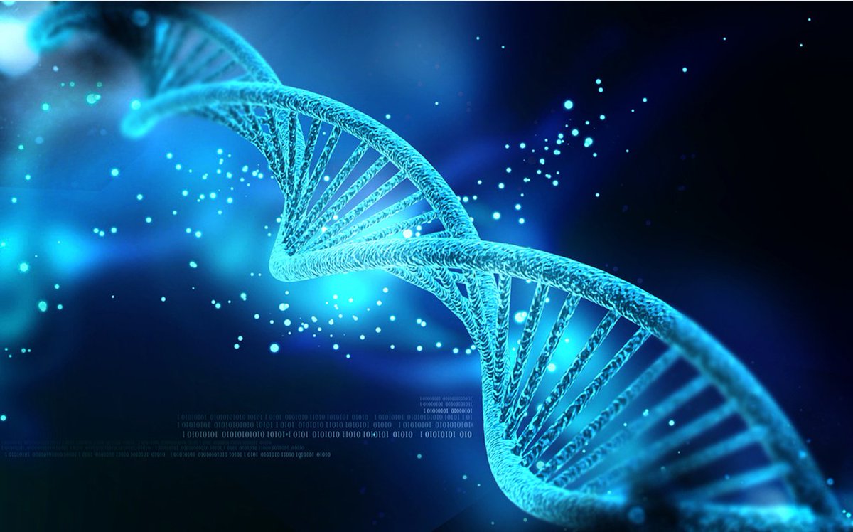ClinicalPathol's tweet photo. #Precisionmedicine  involves the application of #panomicanalysis and systems biology to analyze the cause of an individual patient's disease at the molecular level and then to utilize targeted treatments to address that individual patient's disease process. https://t.co/WgDTIpFYV9