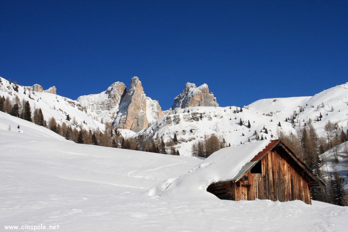 ciaspolenet's tweet photo. #Mondeval, altopiano dolomitico con una vista eccezionale su #Pelmo #Civetta #Lastoi #Marmolada e tante altre #Dolomiti
https://t.co/O34iVc5X1e
@DolomitesUNESCO @TurismoVeneto @valfiorentina @cortinadolomiti https://t.co/aJQlS18erc