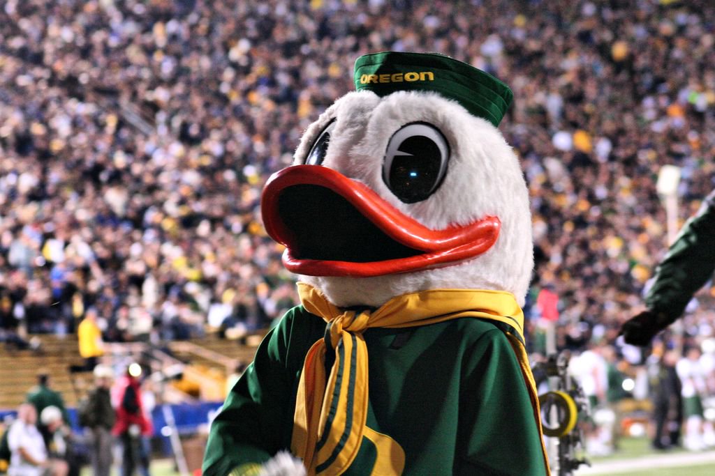 quackdcom tweet picture