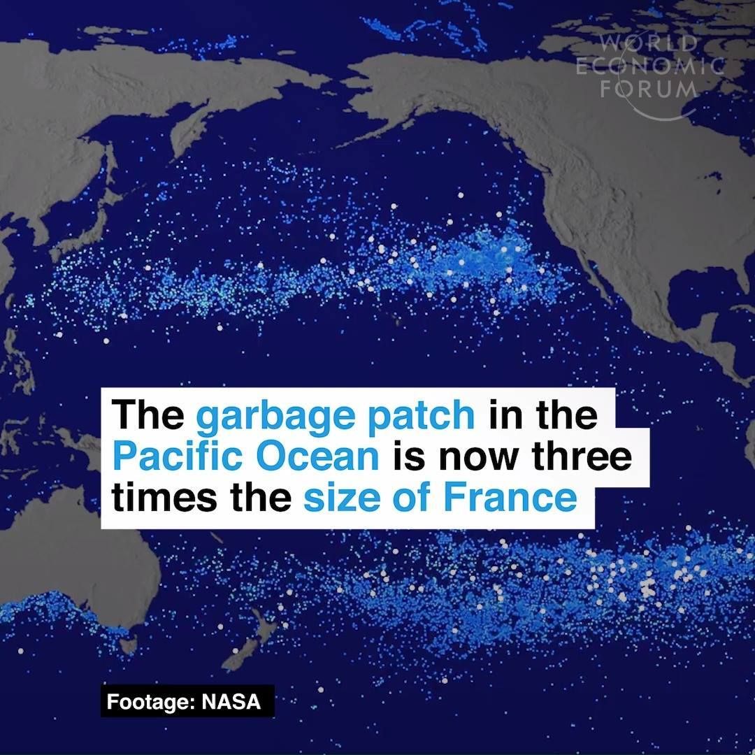BoomAlliance's tweet image. What do you do to cut down on plastic #waste? #beyondplastic #refusereuse
Video credit: World Economic Forum boomally.org/2G7itsB