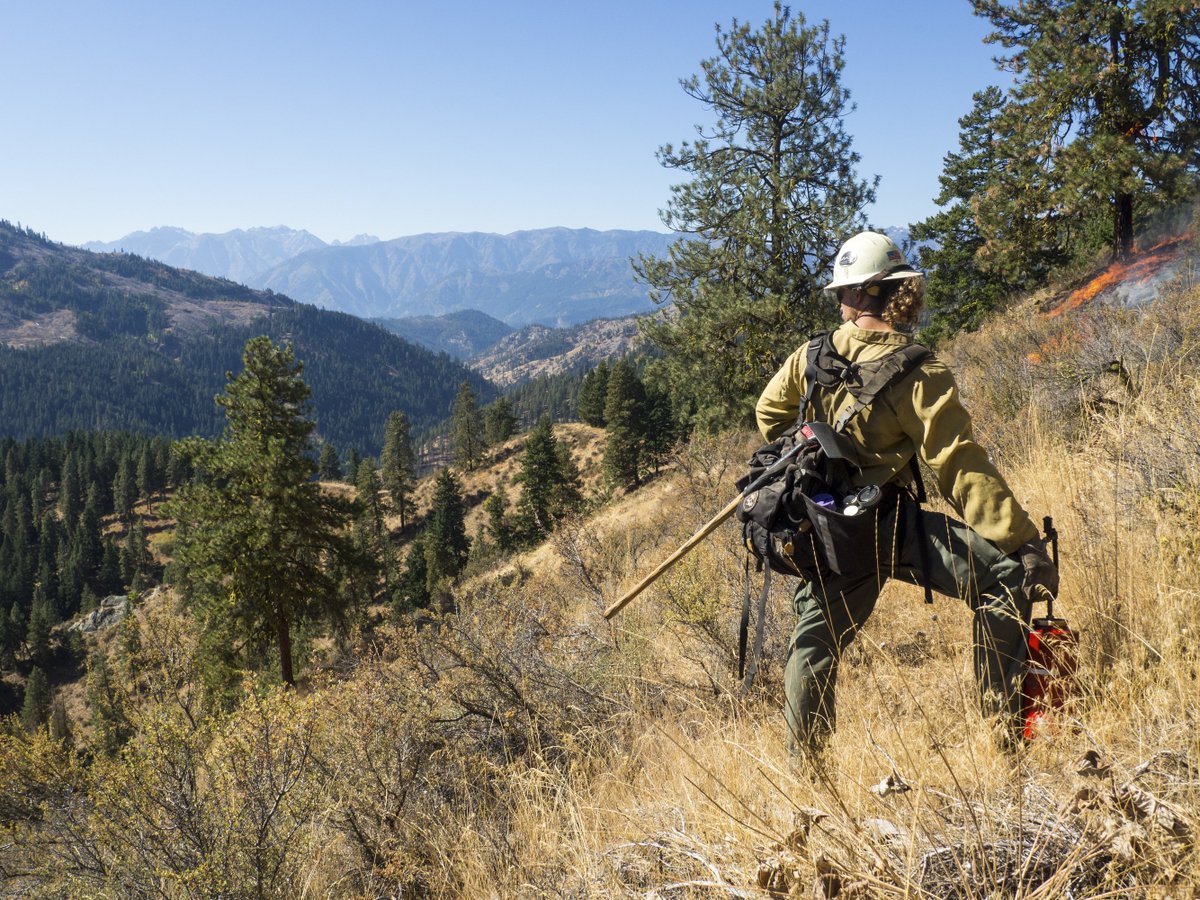 Conserve_WA's tweet image. Washington’s forests won a major victory long sought by conservationists, firefighting agencies and communities across our state: the passage of a comprehensive wildfire funding fix bit.ly/2DPzukE #firefix