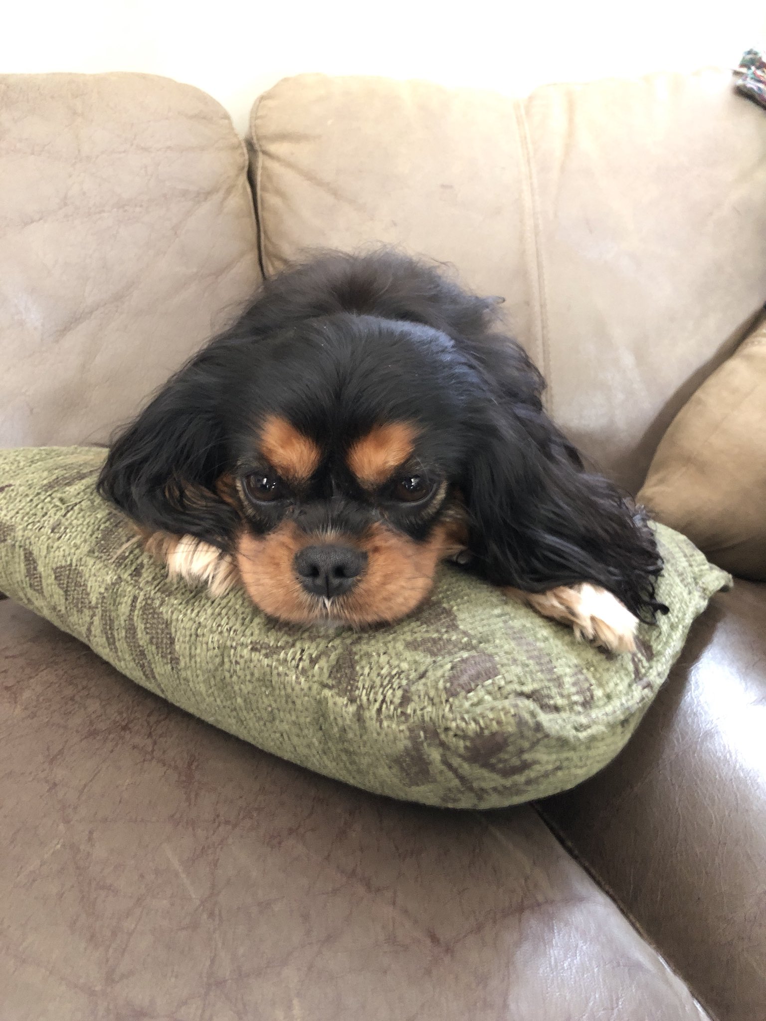 @CuteEmergency https://t.co/KNSasHakPV