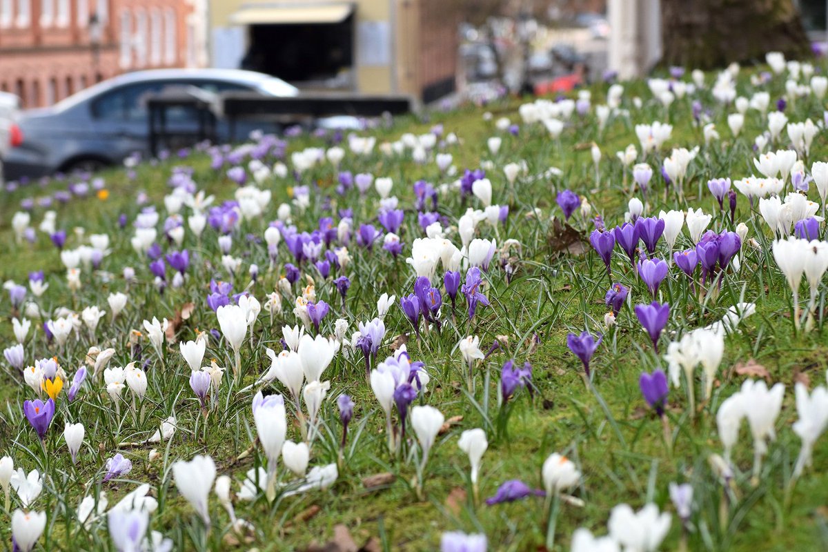 Find out #WhatsOnJQ as we get ready for #bankholidayweekend! Maker Monday <a href="/1000TradesJQ/">1000 Trades</a> //Acoustic Sessions @TheJamHouse //Vintage Tea+Tour <a href="/CoffinWorks/">Coffin Works</a> //Industry Day <a href="/TheAssayOffice/">Birmingham Assay Office</a> //Easter Egg Hunt <a href="/MJQBirmingham/">MJQBirmingham</a> //Demo Robert Page <a href="/rbsagallery/">RBSA Gallery</a> //Salsa Class <a href="/BlueOrangeThtr/">Blue Orange Theatre</a>
