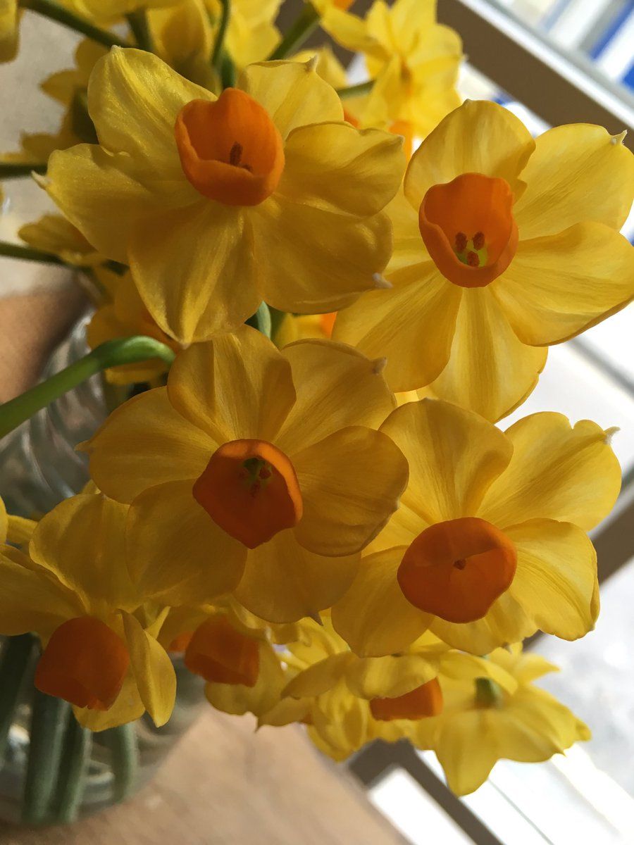 BStreetDeliLDN's tweet photo. Happy British Summer Time xx
|||||
#bermondseystreet #bermondsey #SpringForward #Spring https://t.co/2MJpN35A6H