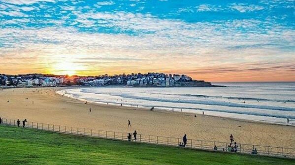 SydneyVisitorC's tweet photo. Do you have less than a week in Sydney and want to make the best of it? Come and ask about our Sydney package! For only $299 you will be able to get on a guided city and bondi tour, a Blue Mountains tour, a Hunter Valley tour and a 1h Opera House tour. 
@visitbondibeach #sydney https://t.co/ucyMiMCRbZ