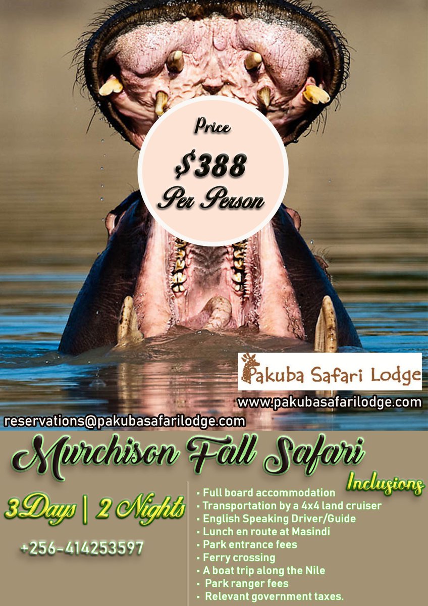 Pakuba Safari lodge tweet media