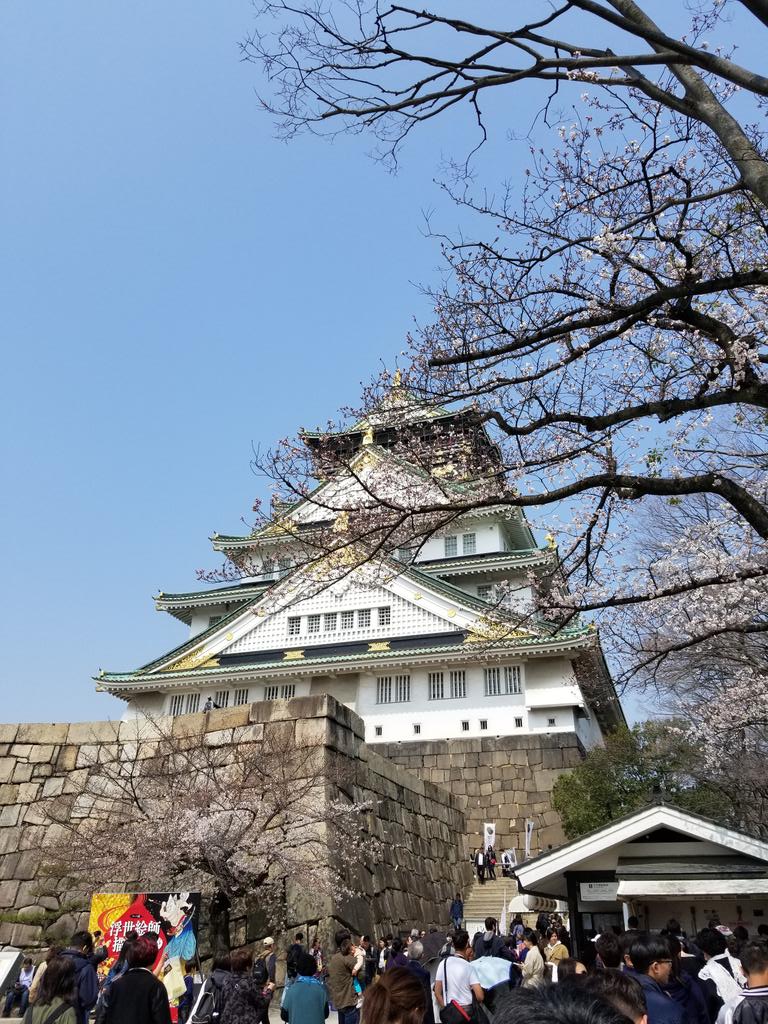 jamesbdrew27's tweet photo. Went to Osaka Castle yesterday! Love this photo! https://t.co/ml6Oa2kBKN