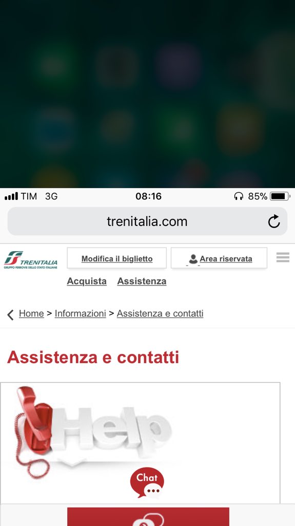 Valeria Scapicchio tweet media