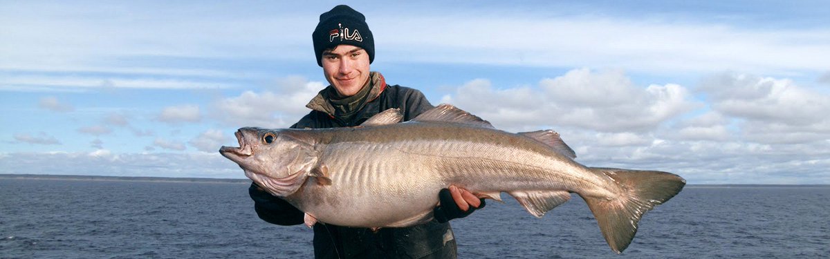 FishingCorn's tweet photo. #fish #fishcorn #fishingcorn #fishing #fishingvideo #fishingyoutube #fishclass #fishmeat #fishtechnique #fishfacts #typesoffishing #youtubefishingtips #fishingsite #fishingattack #fishinggames #onlinefishing https://t.co/tcvbsJsI5G