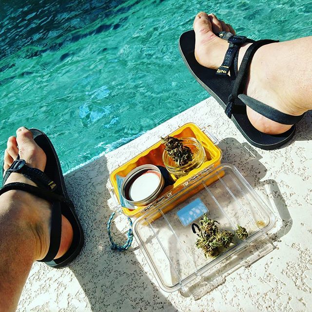 runningonreefer's tweet photo. Sunday afternoon vibes.
.
.
.
#ActivatedAthlete #RunningOnReefer #CannabisKeepsMeActive #Chandler #Arizona #Cannabis #Swimming #LunaSandals https://t.co/uO1vg0Mkr7 https://t.co/UROLDzD99n
