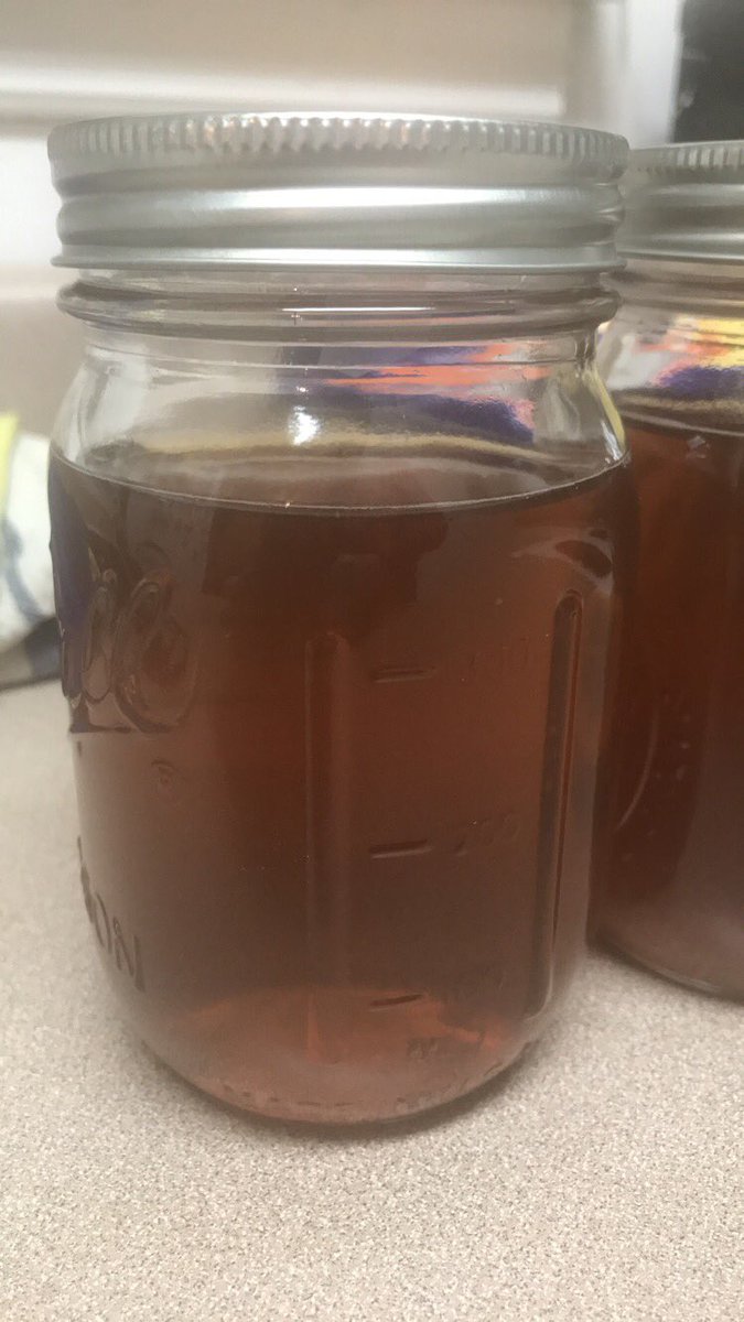 karaeats's tweet photo. First kombucha bottling. #microbiology #foodscience #hopeitworked https://t.co/ZlPZNZOLpT
