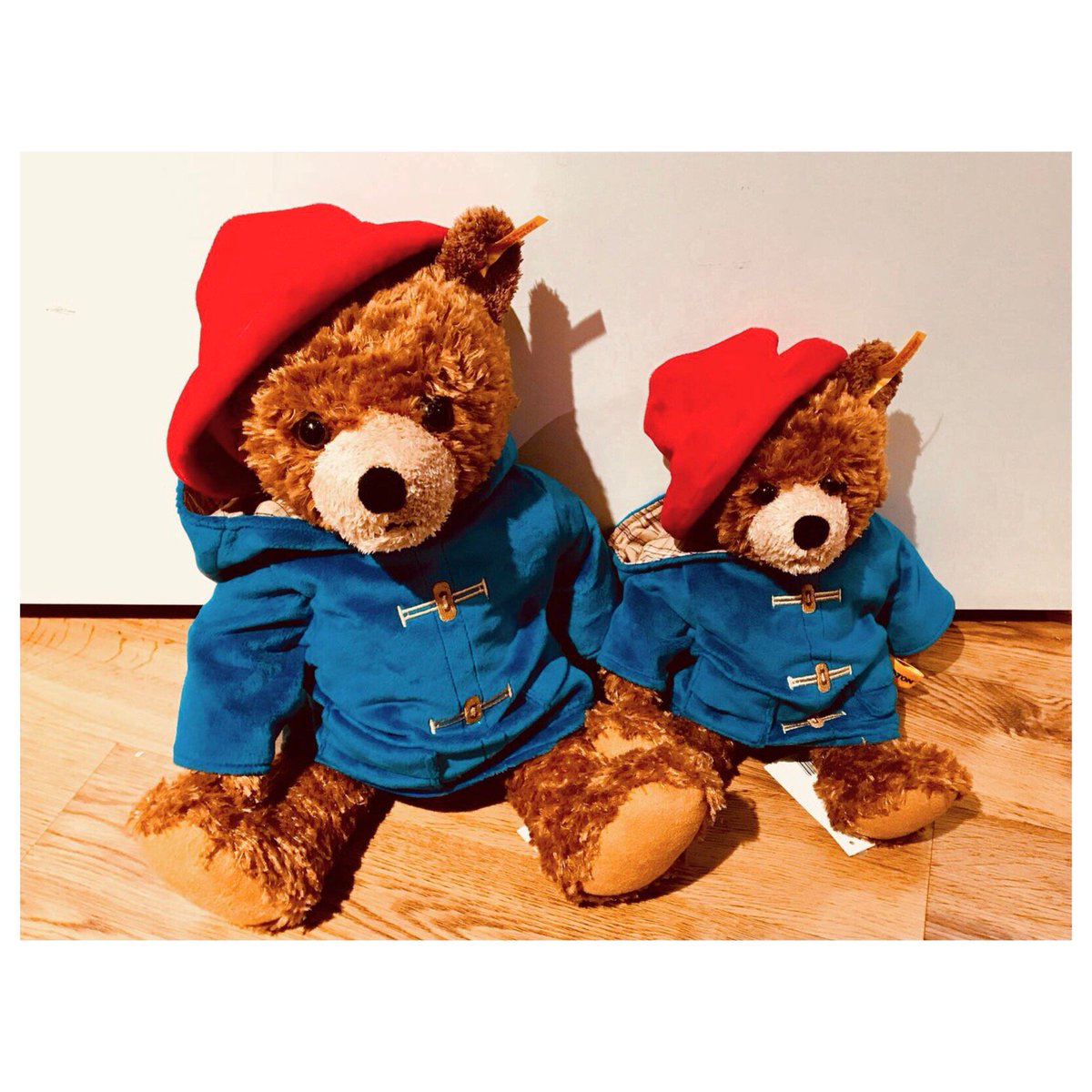 steiff paddington bear 2018