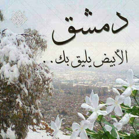 <a href="/maisaataweel/">Maisaa Taweel</a> تأتيني قهوتي الصباحية ودون ان اشعر ،،، اعبث بهاتفي  لينبعث صوت فيروز يحمل  شجنا يسكن الوجدان ، اصبحت اصابعي تتحرك وحدها في متلازمة تذهلني ، حنجرتها الذهبية  صديقه الصباح وسيدته بلا منازع ،،،،
صباحكم قهوة سادة ايها السادة 
صباحكم فيروزي 
صباحكم سعيد