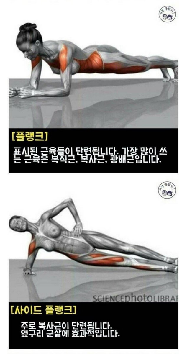 메인트에 계이 계정 잇어요 제발 와주세요 tweet media
