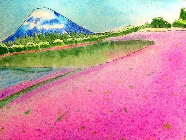 Twitter 上的 Wild Plein Creative Work From Kubo Matsudaira 富士 芝桜まつり う 美しい 写真は美しいが 絵で表現するのは難しい頑張ろう Landscape Art Illustration Watercolor 水彩色鉛筆 風景画 イラスト Painting Nature Drawing イラスト