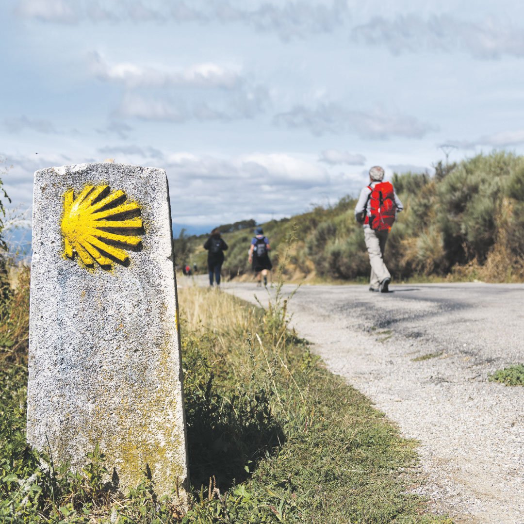 560 Kilometer pilgern für die Parkinsonforschung - Trotz Krankheit machen sich zwei Frauen auf den Weg. Unsere Kampagne „Parkinson“ erscheint heute in der <a href="/welt/">WELT</a>. 
#Parkinson #Krankheit #Erkrankung #Schüttelkrankheit  #Gesundheit   #Hirnstimulation Foto: gregorioa/Shutterstock