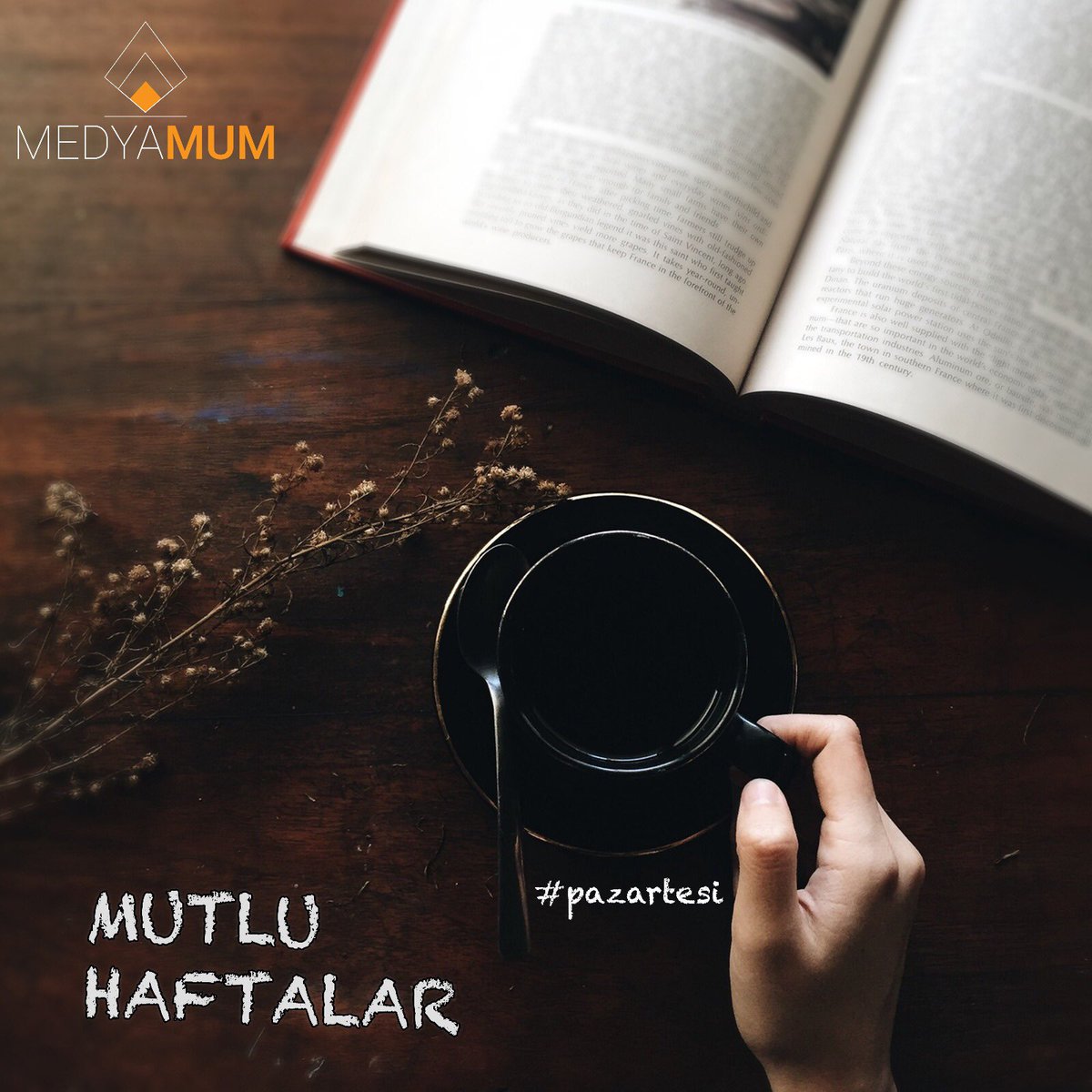 Herkes için güzel bir hafta olması dileğiyle... 
#medyamum #reklam #pazarlama #logotasarım #kurumsalkimlik #promosyon #açıkhavareklam #patent #sosyalmedyayönetimi #sosyalmedya #instagram #monday #pazartesi #office #work